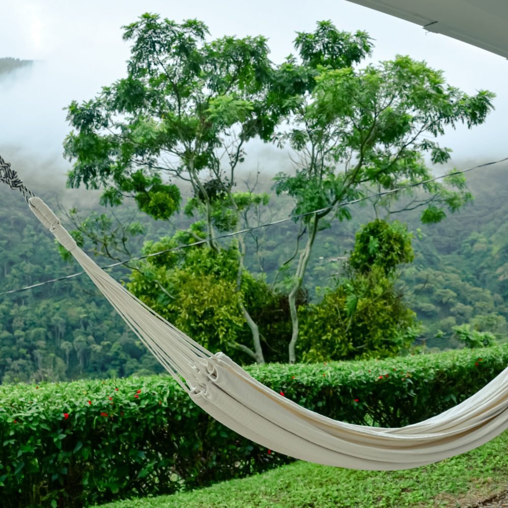 cabana encanto_intro